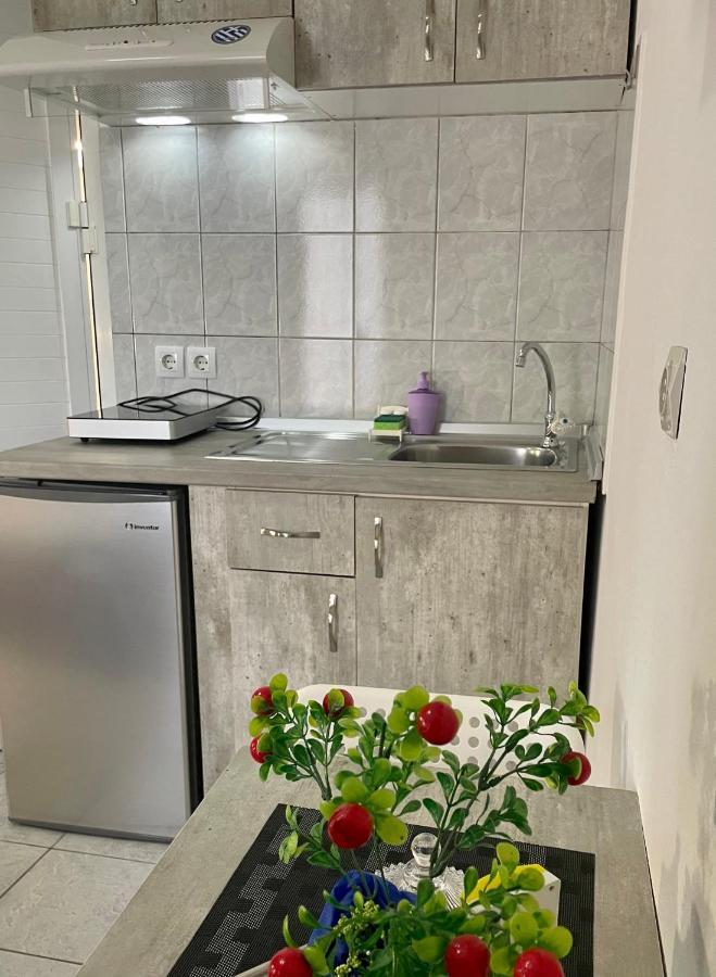 Nisel Seaside Apartment Paralia Katerinis Exterior photo